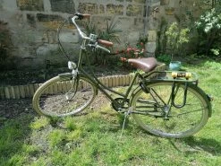 Achielle Vélo Hollandais Vert Forêt