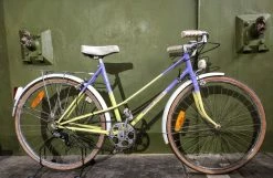 Vélo De Ville Vintage RAYMOND DELISLE -Vélos Soldes 315252875 5805150196273181 8341272211254051862 n 6a21ec43e4