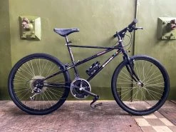 VTT Bianchi Thomisus